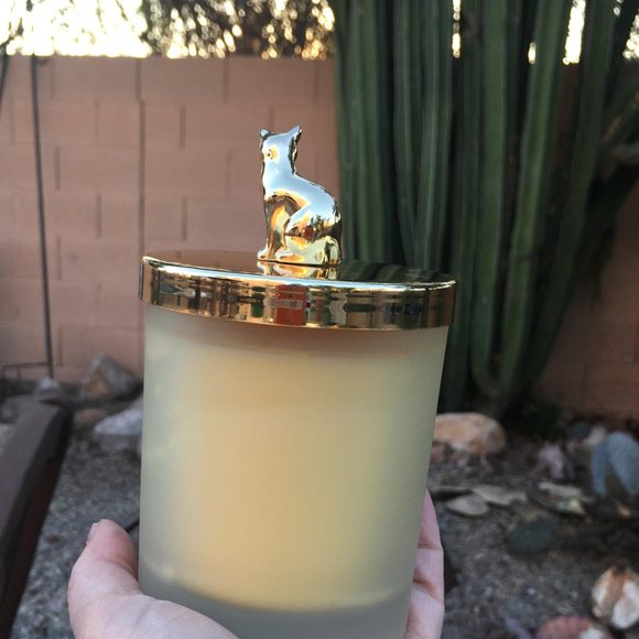 Collectible Cat Lover Gem Candle with Tiger's Eye Gemstone Limited Edition - Picture 5 of 16